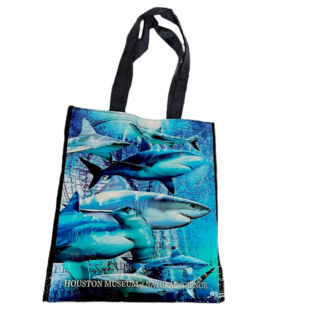 HMNS Recycled Tote Bag