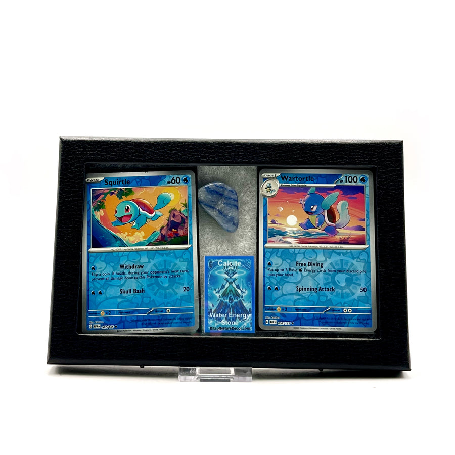 Two Pokemon trading cards featuring Squirtle and Wartortle in a display case with a white background