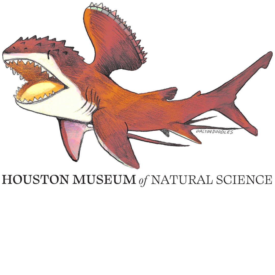 Stethacanthus Shark HMNS Sticker