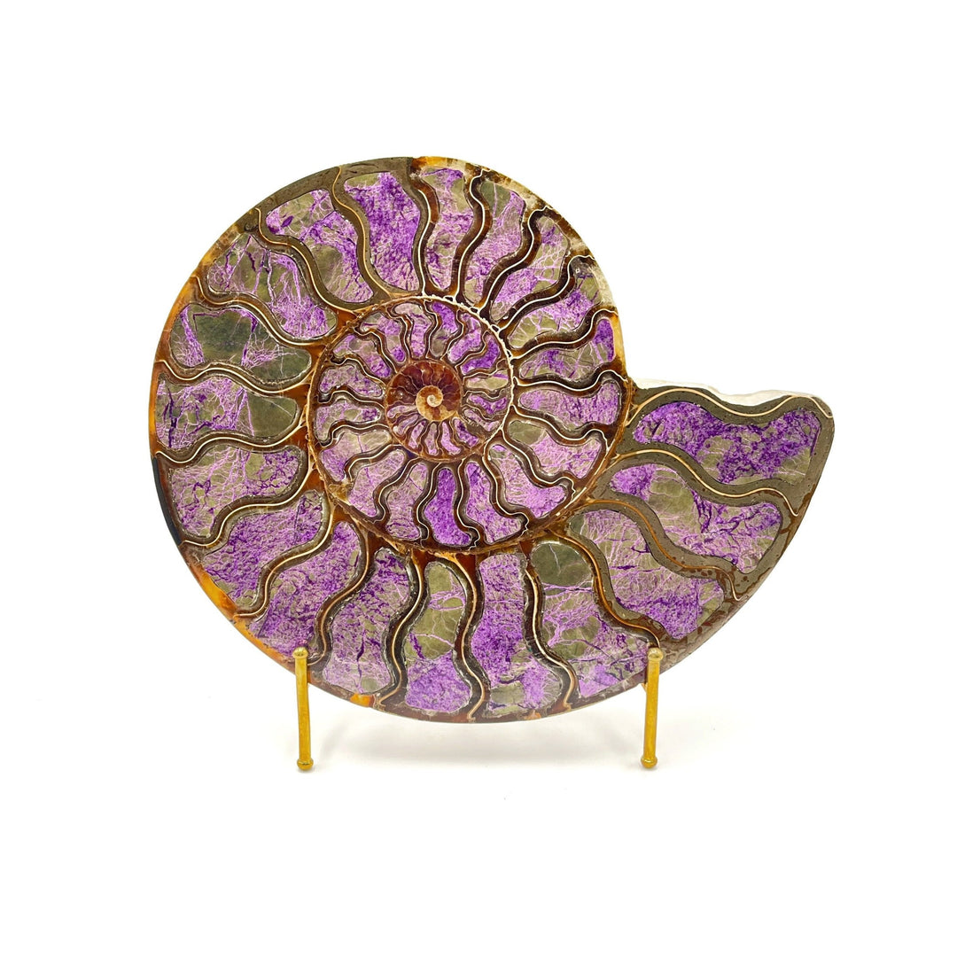 Ammonite with Stichtite Inlay, 21.5cm