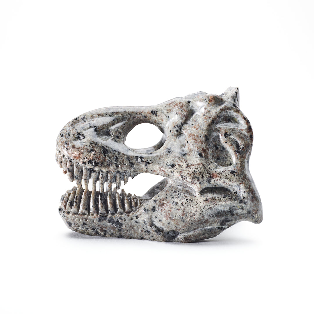 t. rex skull carving from spotted grey material