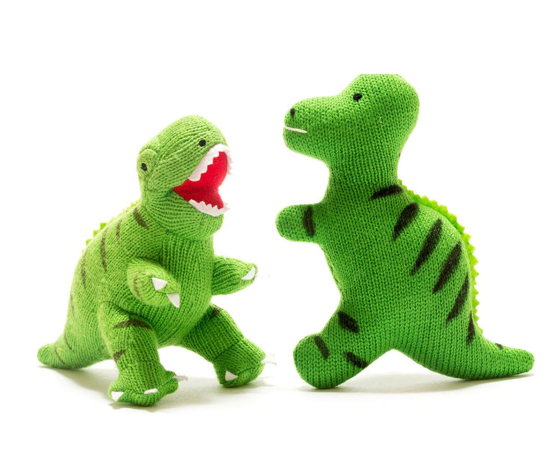 Baby T. rex Dinosaur Sensory Toy