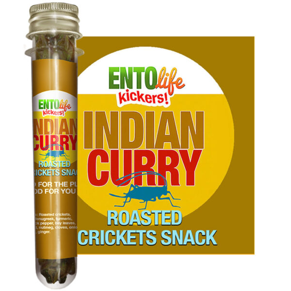 Roasted Cricket Snacks