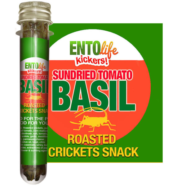 Roasted Cricket Snacks