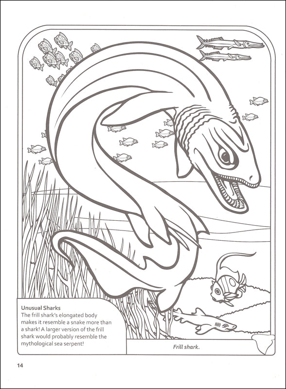 Sharks Coloring Book