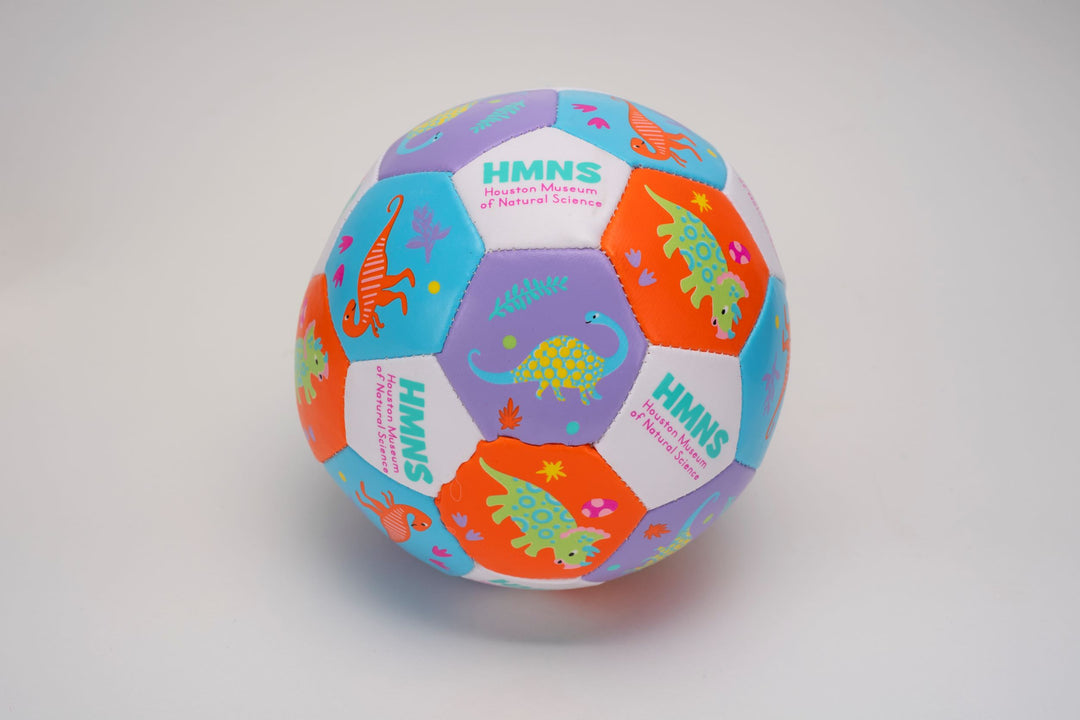 HMNS Dinosaur Print Mini Soccer Ball