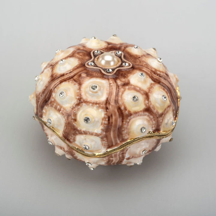 Sea Urchin Box