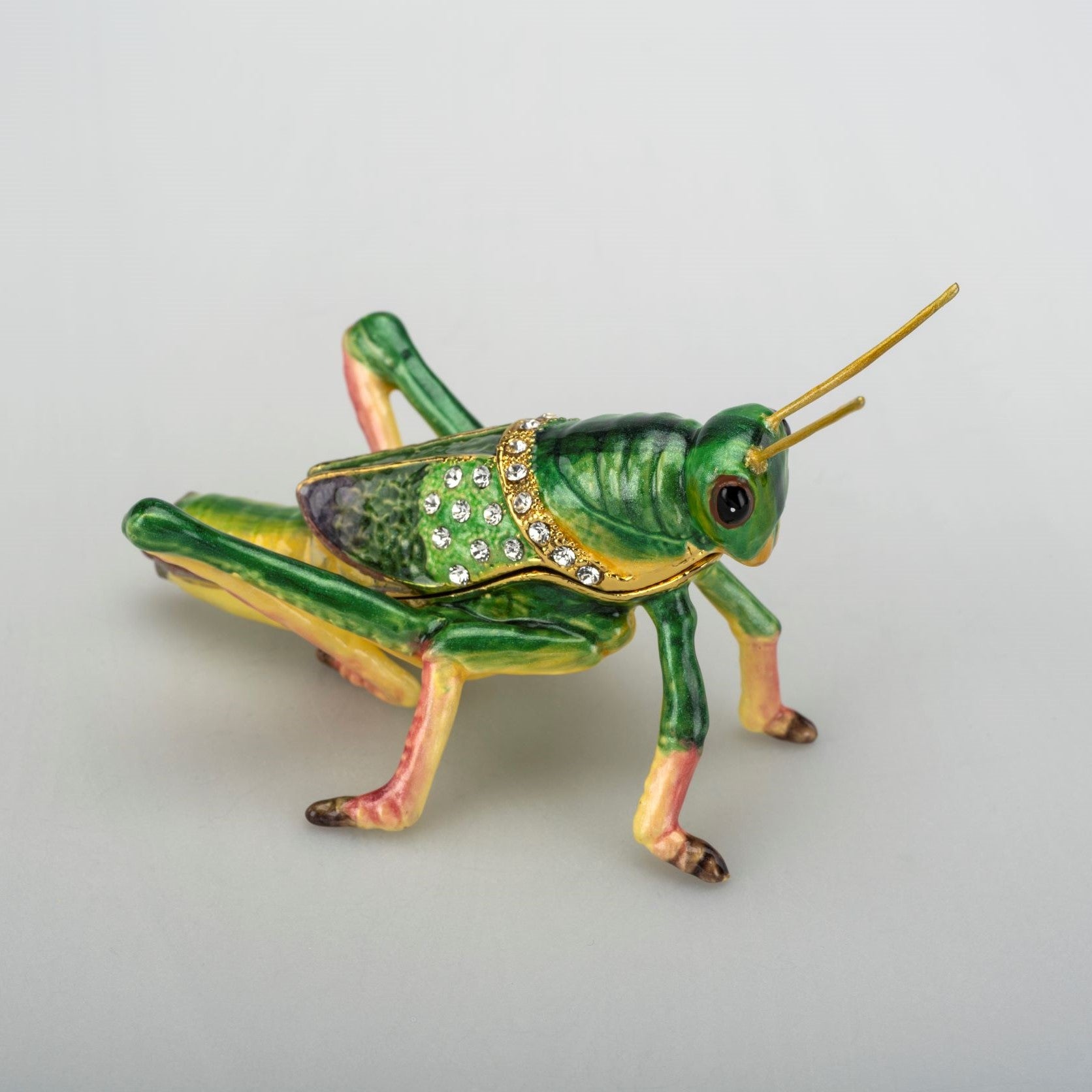 Green Grasshopper Box