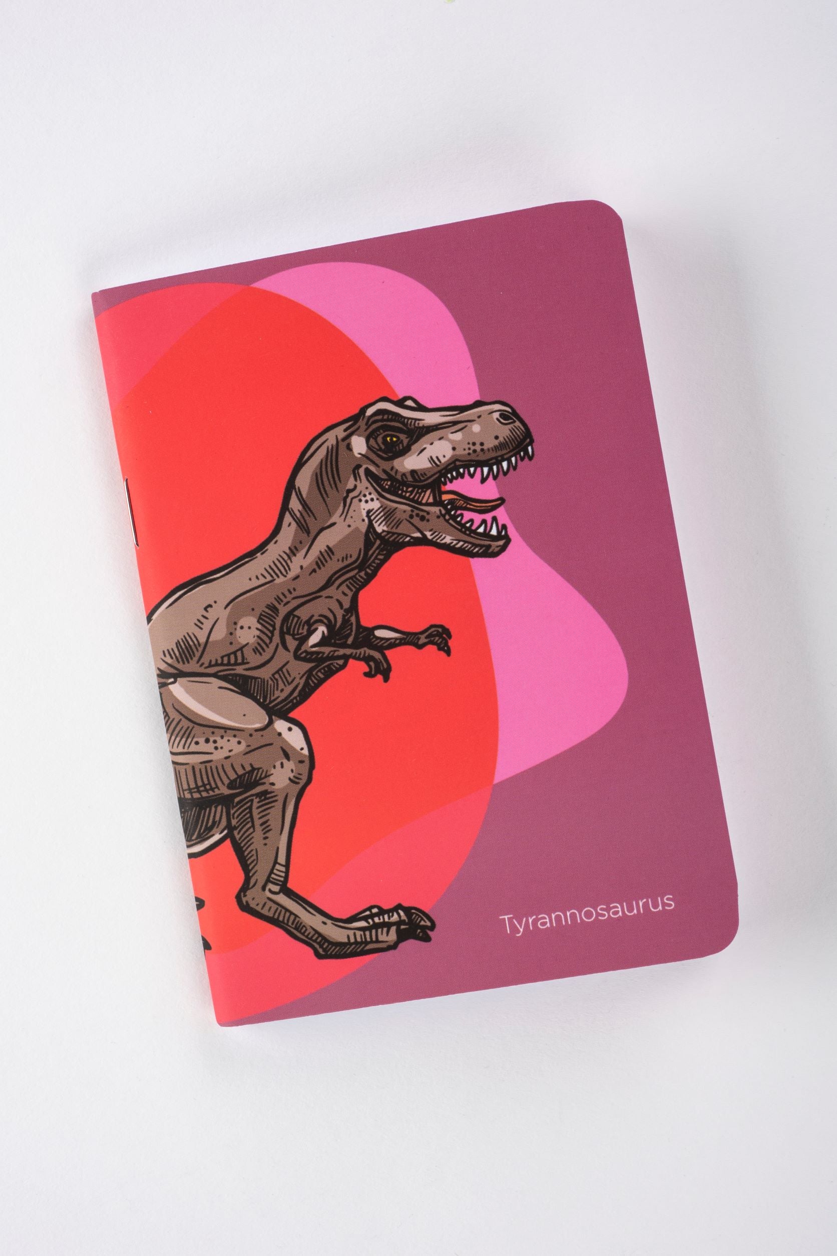 Dinosaur Pocket Journal