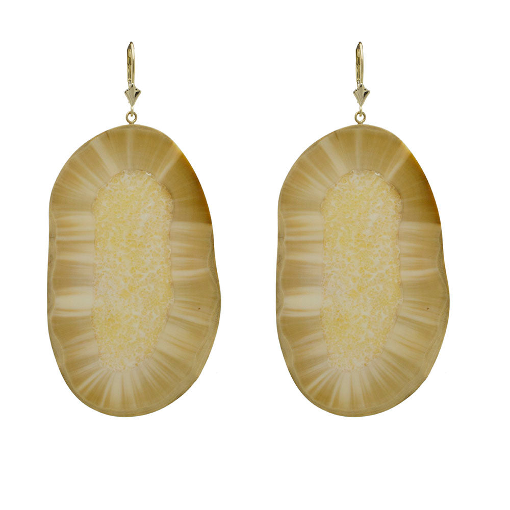 Fossilized Prehistoric Walrus Tusk Earrings