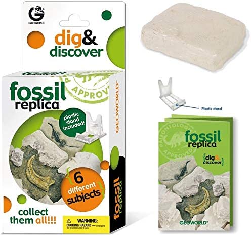 Dig & Discover Fossil Replica Kit