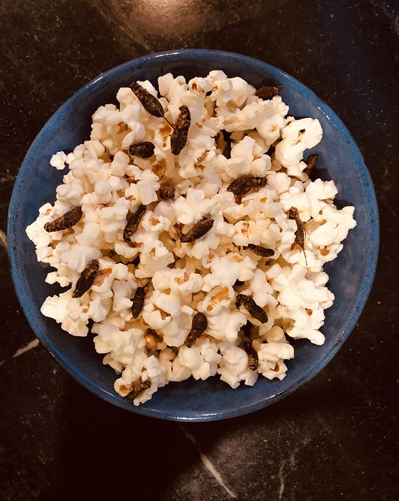 Bugs for Breakfast: How Eating Insects Could Help Save the Planet ...