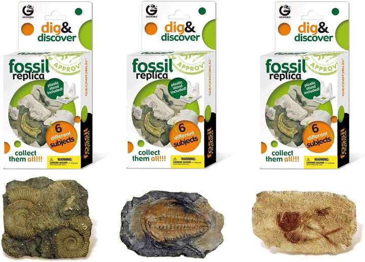 *FINAL SALE* Dig & Discover Fossil Replica Kit