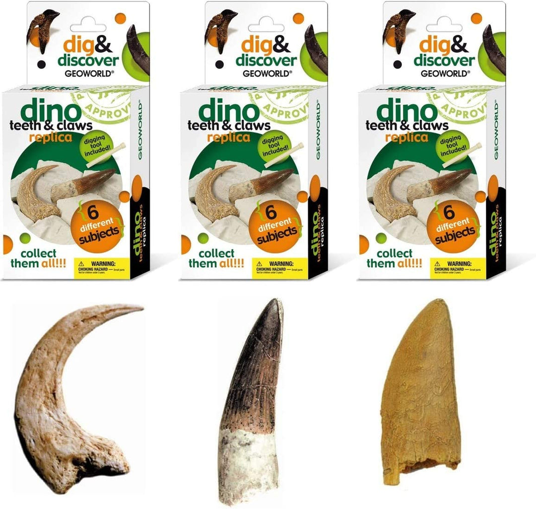 Dig & Discover Dino Teeth & Claw