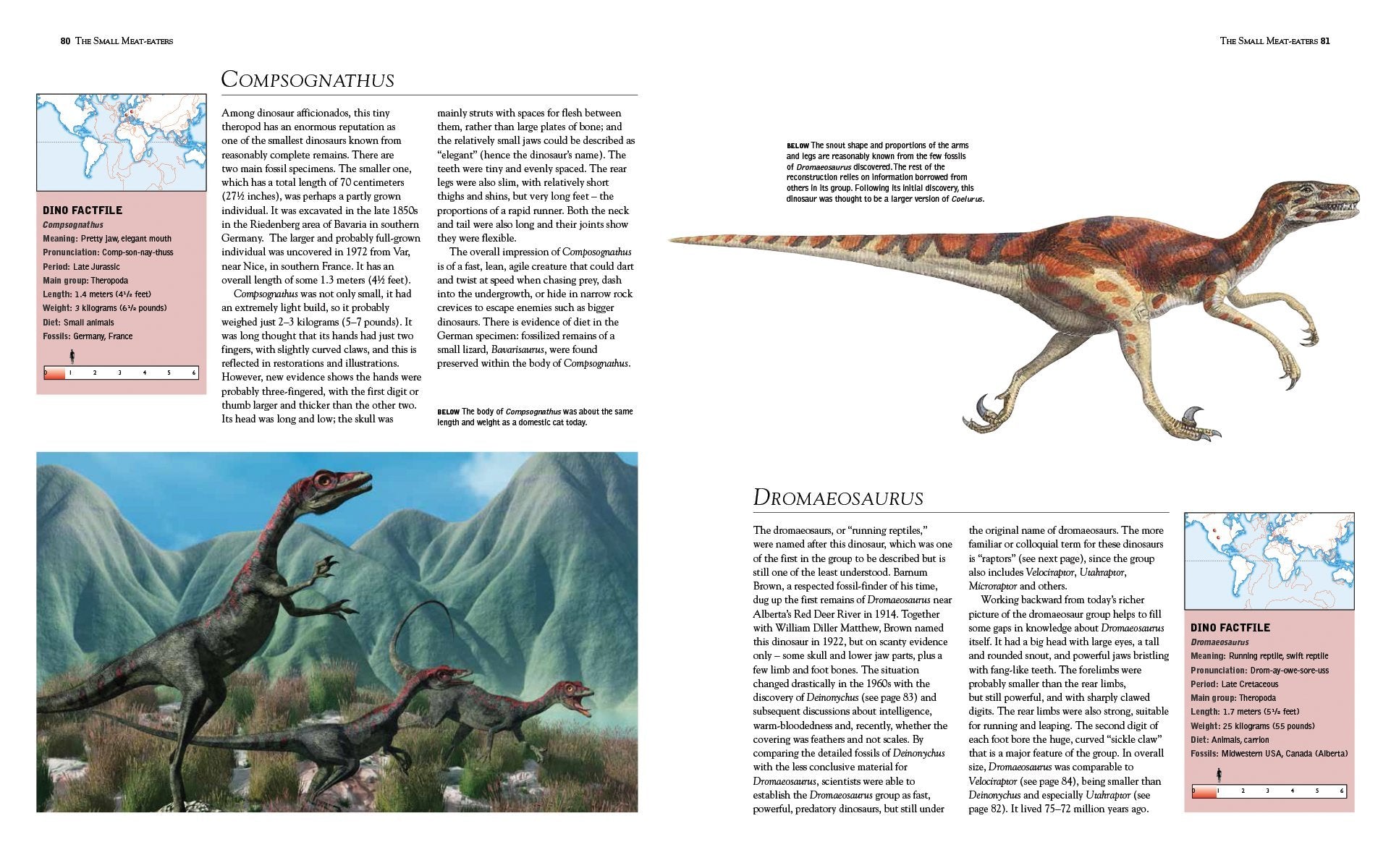 Dinosaurus: The Complete Guide to Dinosaurus