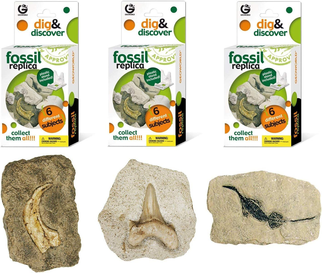 Dig & Discover Fossil Replica Kit