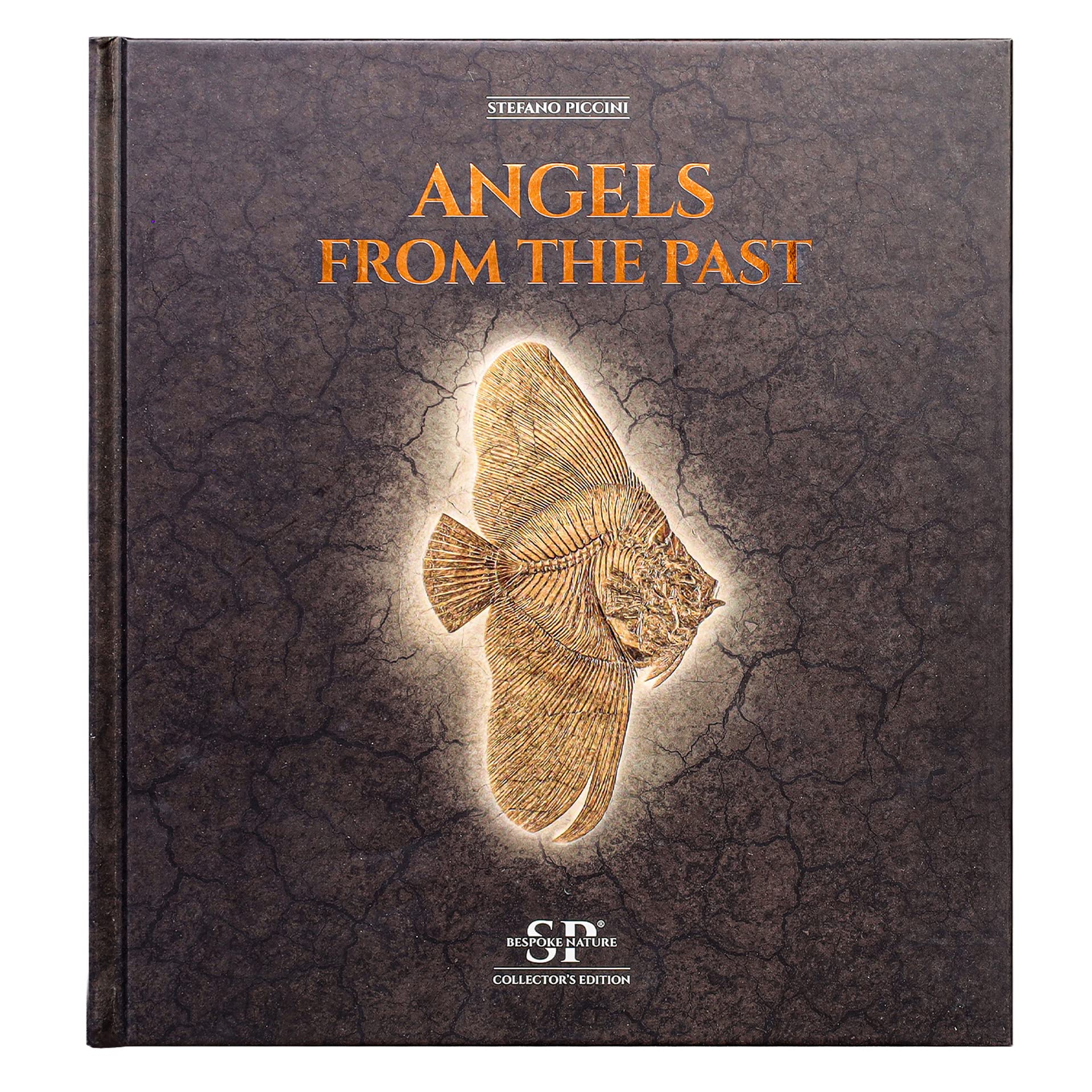 Angels From The Past