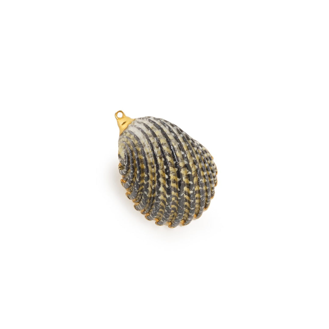 Gold Rim Shell Pendant