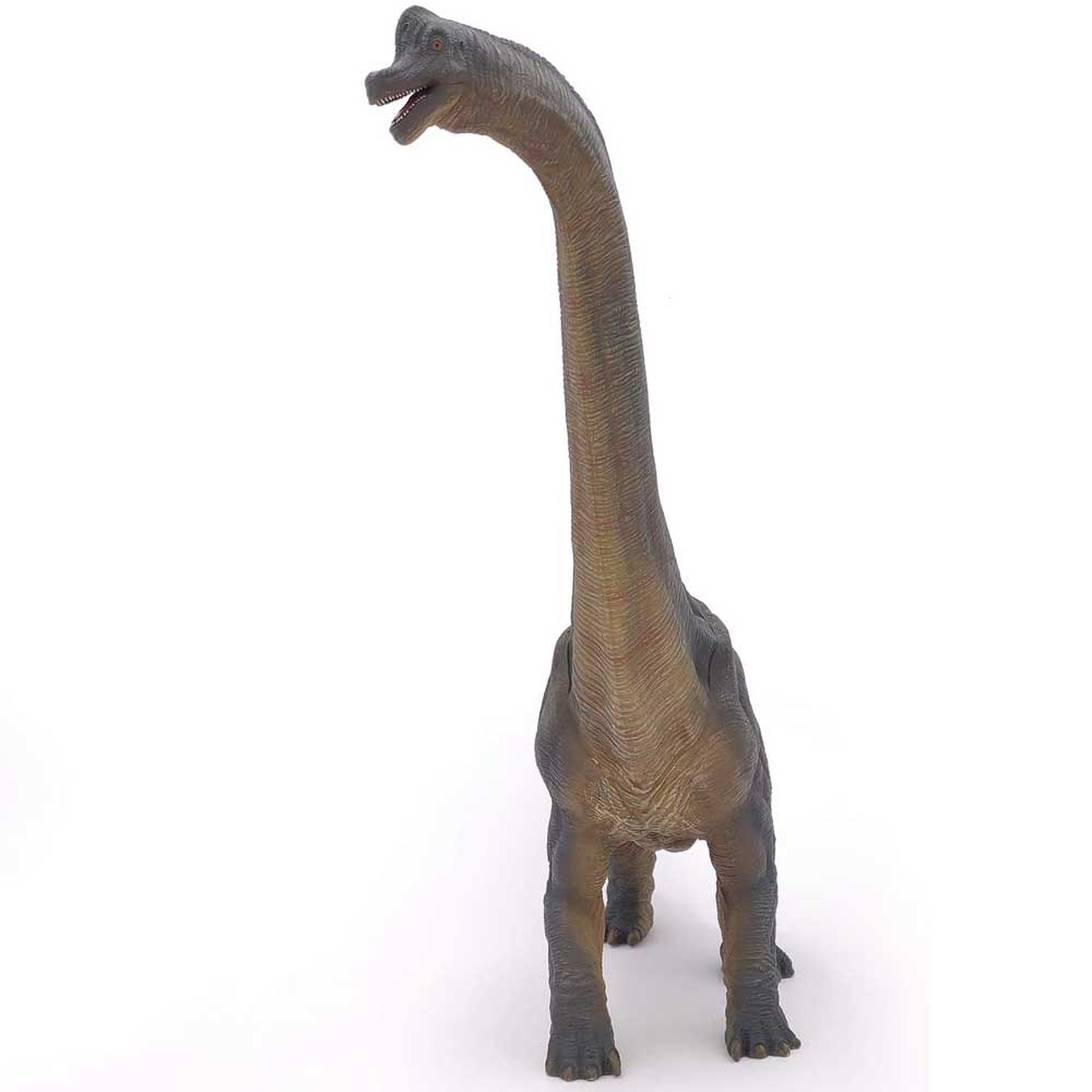 Brachiosaurus Dinosaur Replica Toy