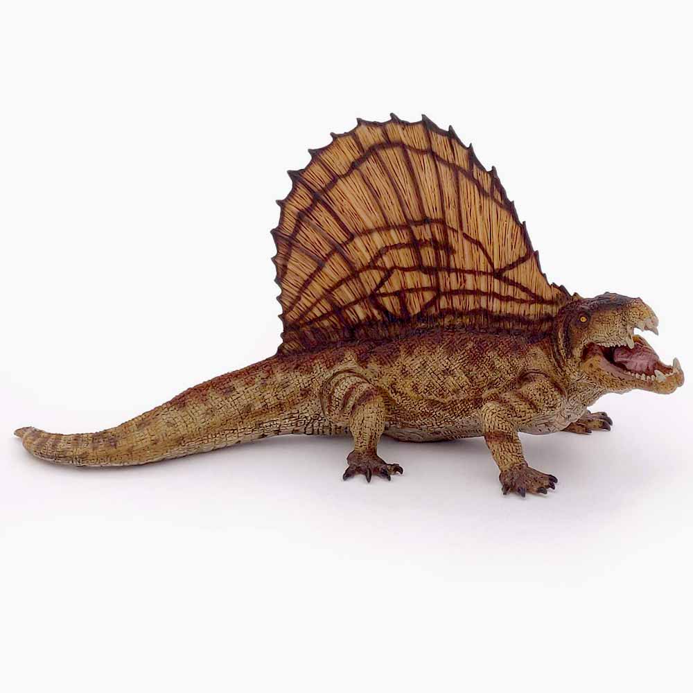 This Dimetrodon is part of the dinosaur collection (although it existed well before dinosaurs roamed the Earth!) and it is an impressive creature with a huge sail on its back and a powerful jaw including teeth of different sizes. This animal had a sail held in place by bony spines which stood vertically above each vertebra. 