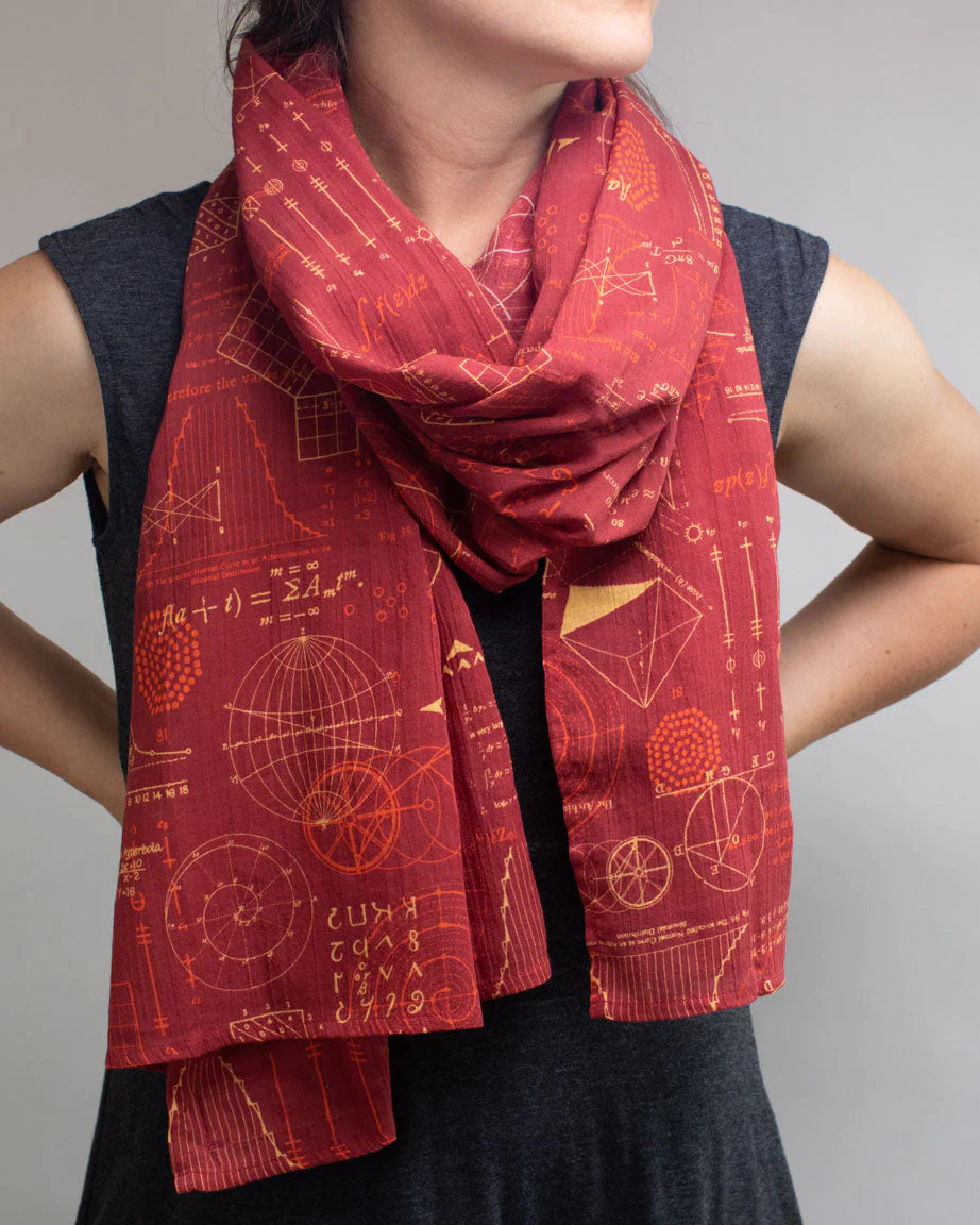 Equations That Changed the World Scarf