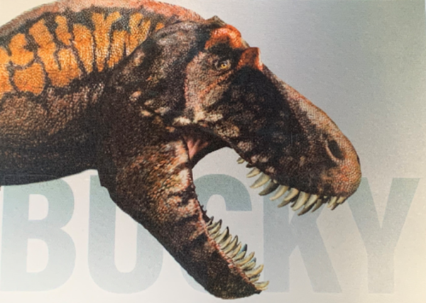 Bucky the T.rex 3-D Postcard