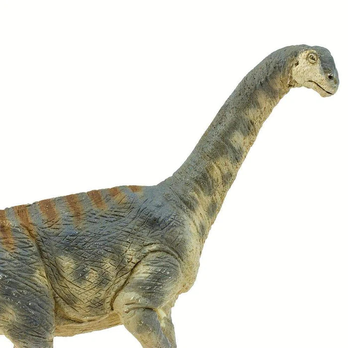 Camarasurus Dinosaur Replica Toy
