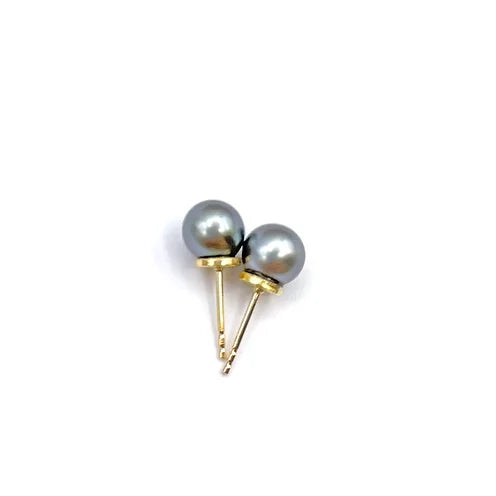 A pair of silver-colored Tahitian pearl stud earrings with 14k yellow gold mountings on a white background.