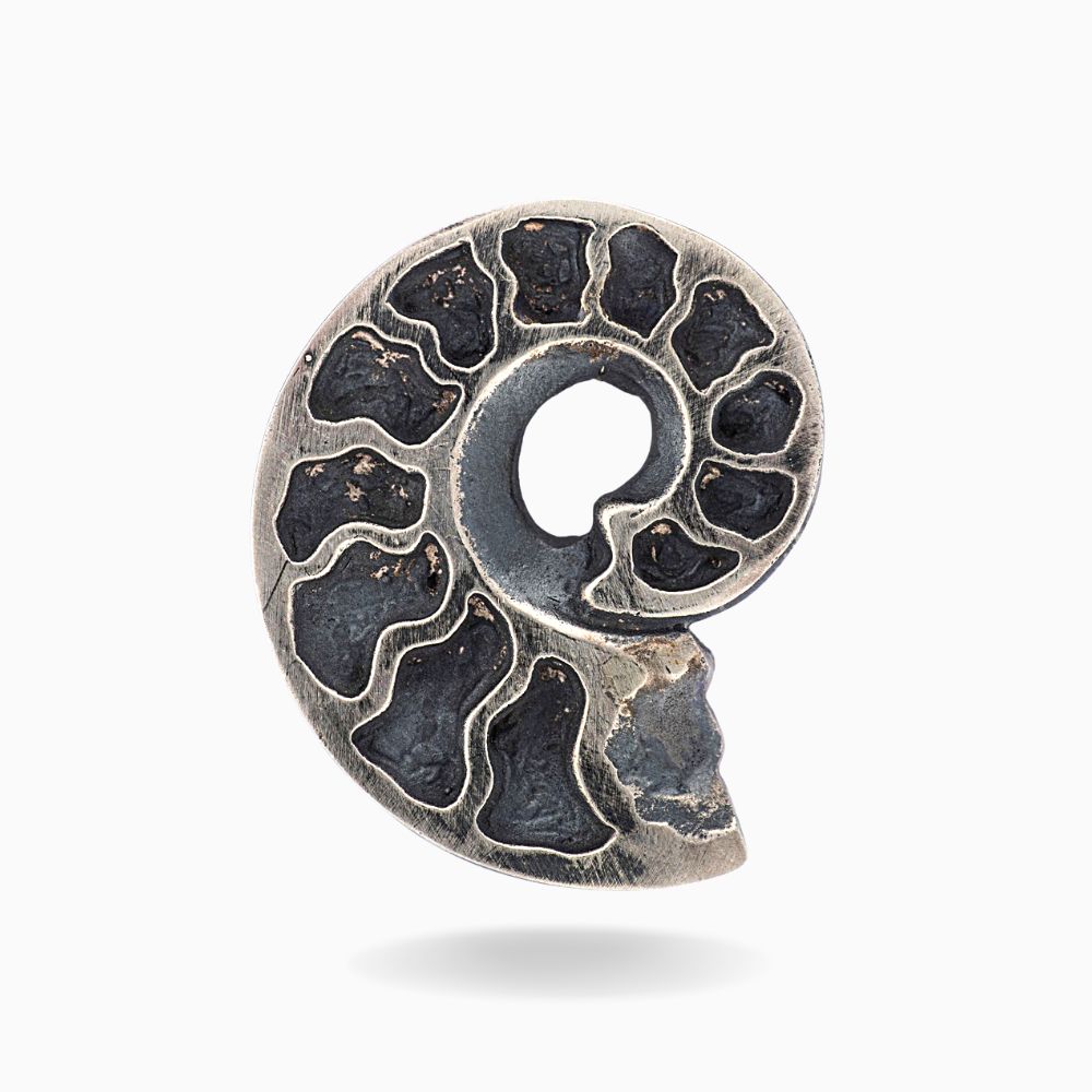 Medium Ammonite Hat Pin