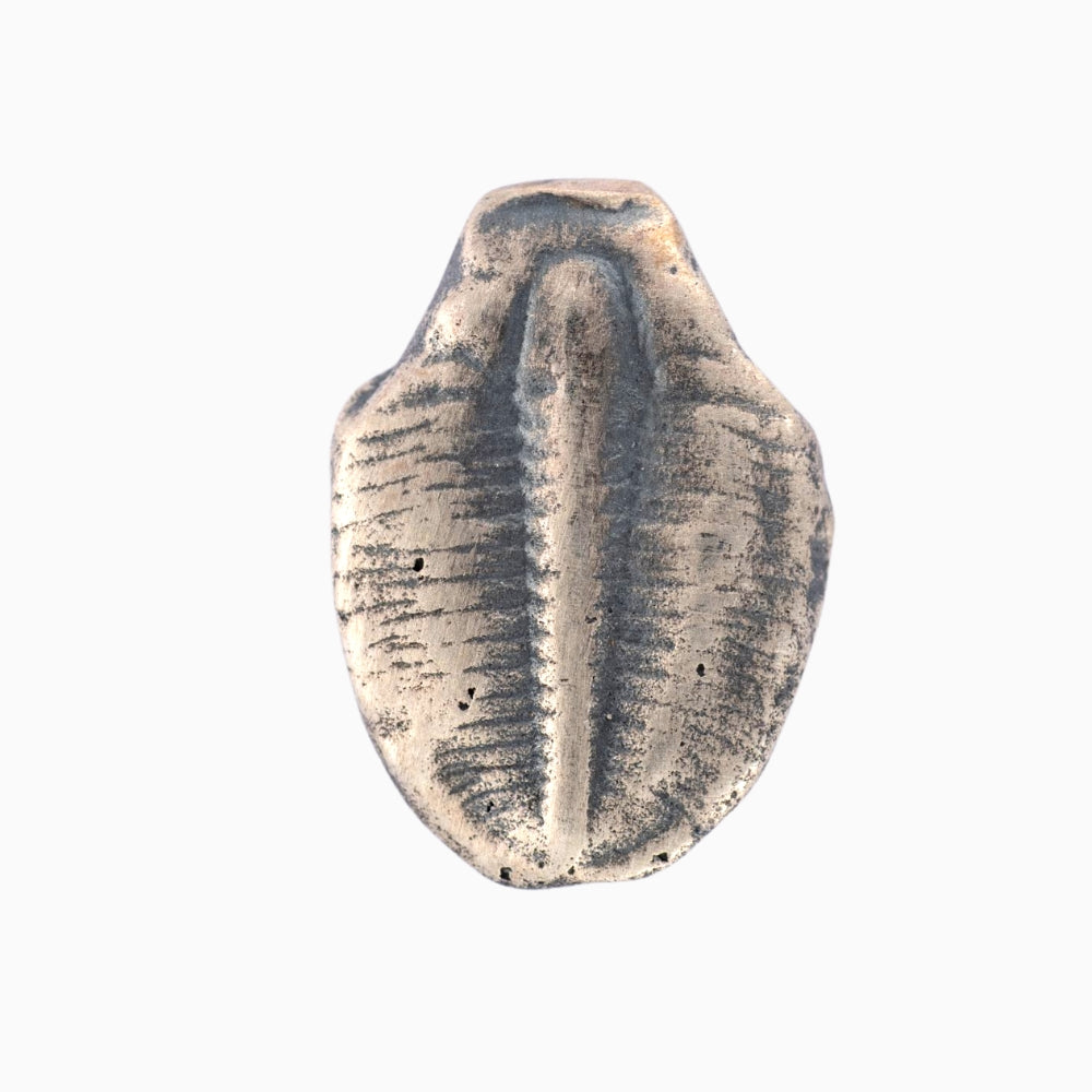 Mini Trilobite Hat Pin