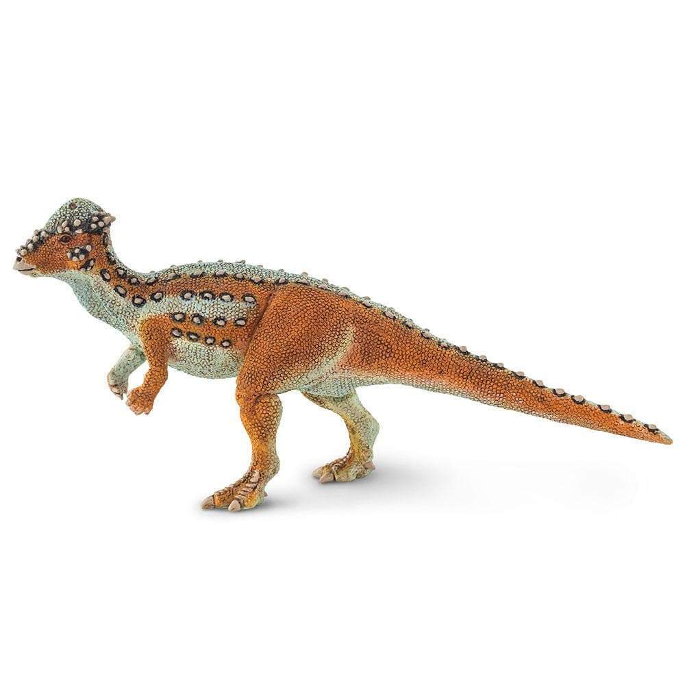 Pachycephalosaurus Dinosaur Replica Toy
